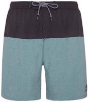 Protest Prtboydin Beachshort