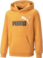 Puma ESS+ 2 Col Big Logo Hoodie