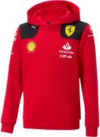 Puma Sf Team Hoodie Kids