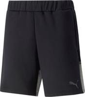 Puma Teamcup Casuals Shorts