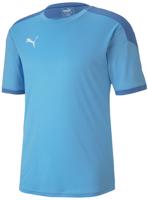 Puma Teamfinal 21 Training Jersey