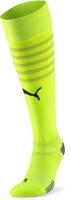 Puma teamFINAL Socks