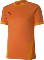 Puma Teamgoal 23 Jersey