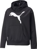 Puma Train Favpwrfleece Po Hoodie