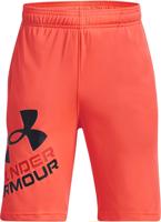 Under Armour Prototype 2.0 Logo Shorts-ORG